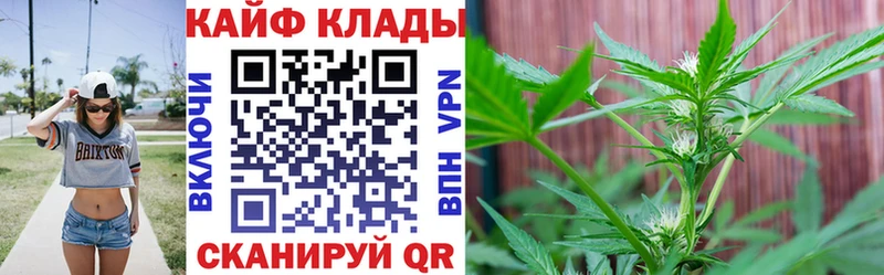 Как найти наркотики Судогда Марихуана mega зеркало ГАШ ТГК МЕФ A PVP